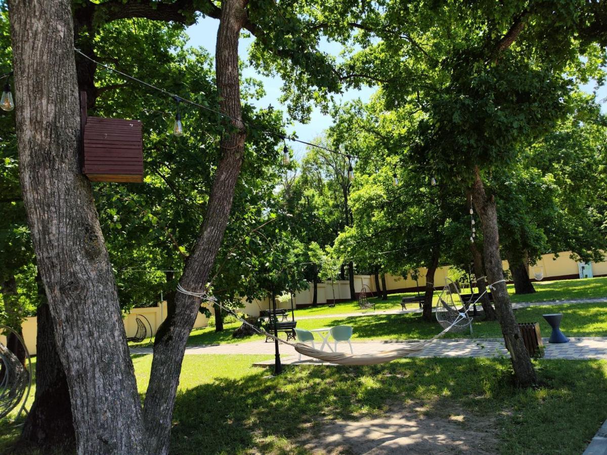 Curtea Domneasca Hotel Vaslui Buitenkant foto