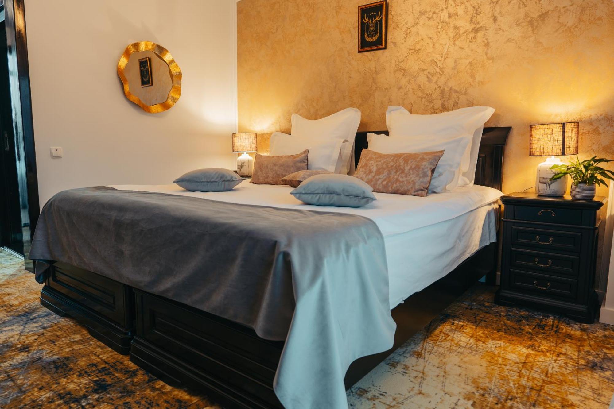 Curtea Domneasca Hotel Vaslui Buitenkant foto